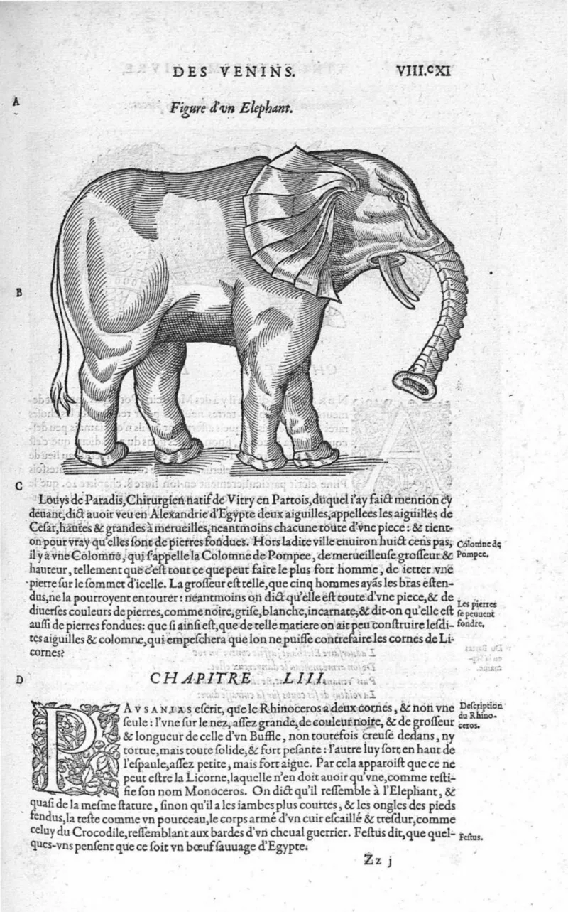 Xilogravura de um elefante no capítulo dos venenos e do chifre de unicórnio