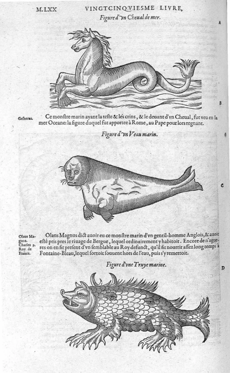 Três monstros marinhos: cavalo-marinho, bezerro-marinho e porca-marinha